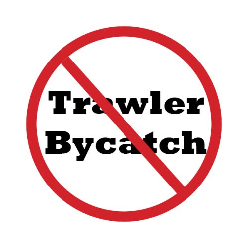 4 inch Stop Trawler Bycatch Sticker